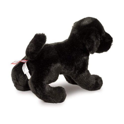 Douglas Douglas Brewster Black Lab Dog   e???d??a ?e  ?st? ??? 2