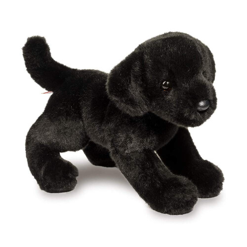 Douglas Douglas Brewster Black Lab Dog   e???d??a ?e  ?st? ??? 1
