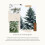 Thymes Reed Diffuser Olie Navulling - 7,75 Fl Oz - Frasier Fir 3
