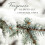 Thymes Reed Diffuser Olie Navulling - 7,75 Fl Oz - Frasier Fir 5
