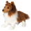 Douglas Douglas Whispy Sheltie Dog Shetland Sheepdog   e???d??a ?e  ?st? ??? 1