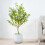 MCC (100CM) Artificial Olive Tree with Plastic Planter & Moss 1