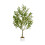 MCC (100CM) Artificial Olive Tree with Plastic Planter & Moss 3