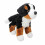Douglas Douglas Miranda Berner Sennenhund Plschtier 2