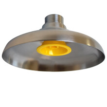 Speakman SE-820 Lifesaver 20 cm Veiligheidsdouchekop, RVS