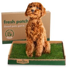 Fresh Patch Standard - Echte gras plas- en zindelijkheidstrainingsmat voor honden onder de 15 pond - Binnen- en buitengebruik - 16 inch x 24 inch