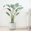 MCC (90CM) Artificial Bird of Paradise Tree with Planter&Moss 1