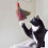 KONG KONG Cat Wubba Teaser 4