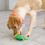 KONG KONG Ballistic Hide ‘n Treat Medium 5