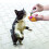 KONG KONG Catnip Refillable Tube 3pk 4