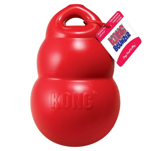 KONG KONG Bounzer Large 1