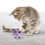 KONG KONG Crackles Winkz Cat 4
