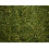 Friendly Alfalfa ReadiGrass 1kg 3