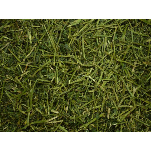 Friendly Alfalfa ReadiGrass 1kg 2