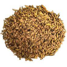(2kg) Superpet Premium Hedgehog Specialist Food With Added 25% Calciworms, 75% Kibble