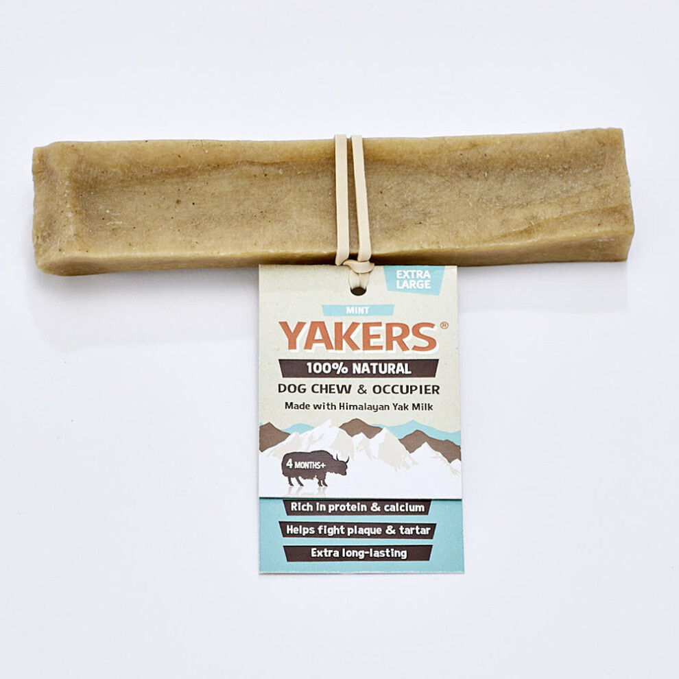 (XL (10 Pack)) Yakers Himalayan Yak Milk Dog Chew Mint Box