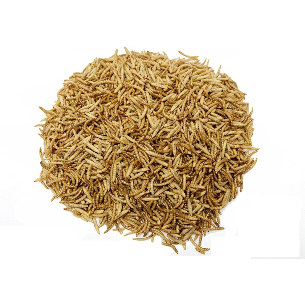 (5kg) Superpet Dried Calciworms And Mealworm 50/50 Mix For Birds Fish Hedgehogs And Many More