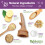 Whimzees (Large 22 Pack) Whimzees Antler Bulk Box 6