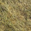 Extra Select Premium Meadow Hay Unchopped Dust Extracted 2kg 2