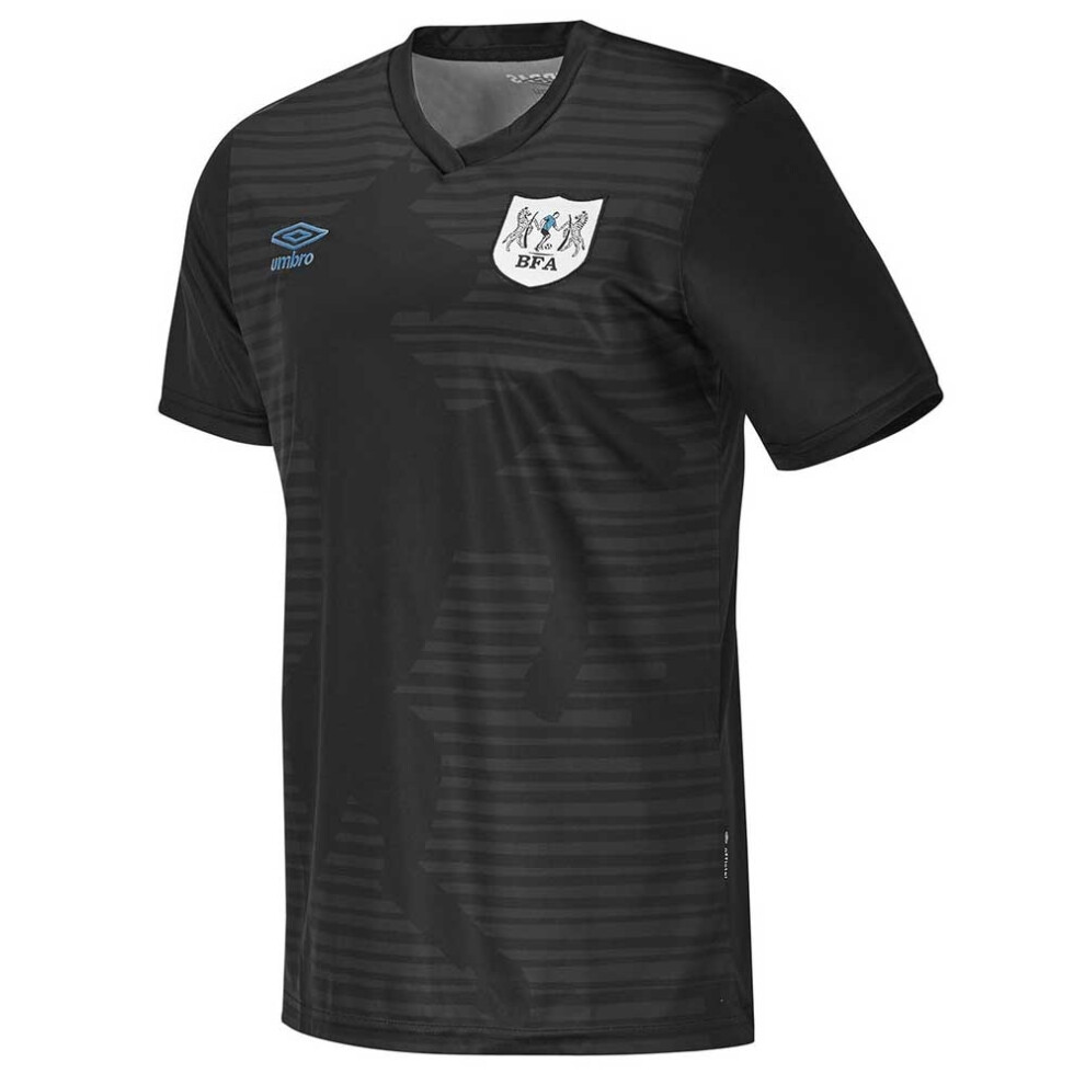 (L) 2021-2022 Botswana Third Shirt