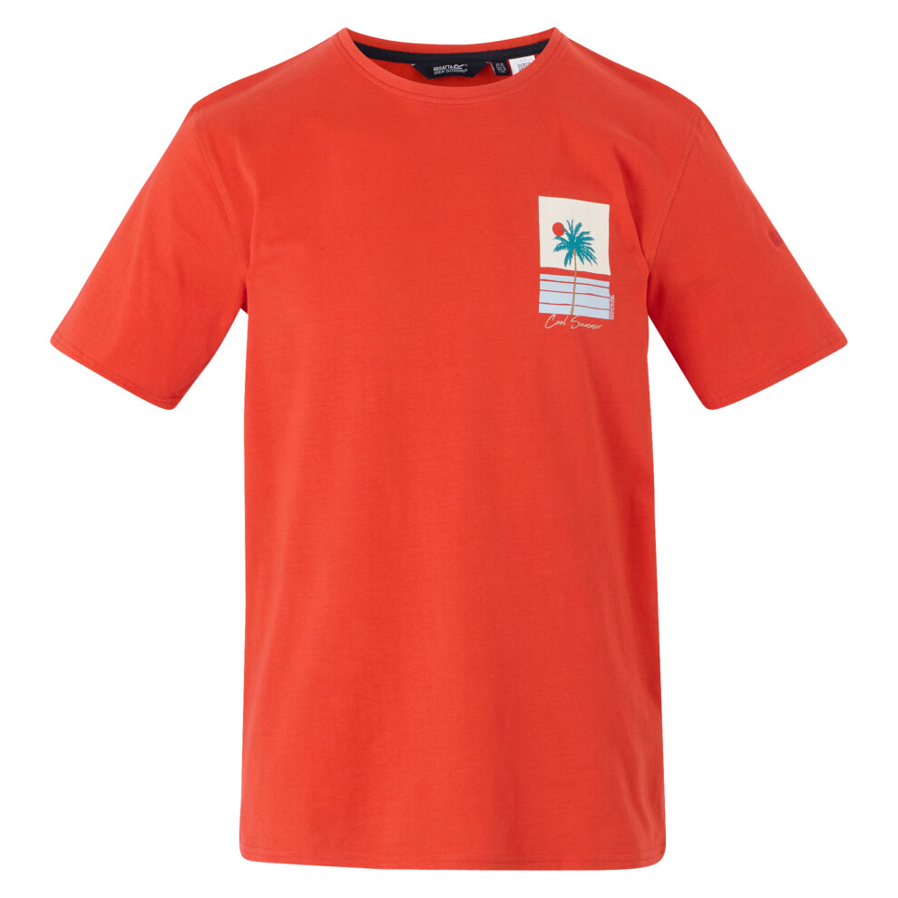 (L, Poppy Red) Regatta Mens Cline IX Cool Summer T-Shirt