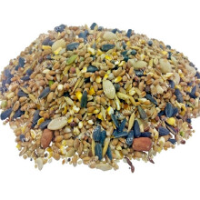 (20kg) Special Wild Bird Seed