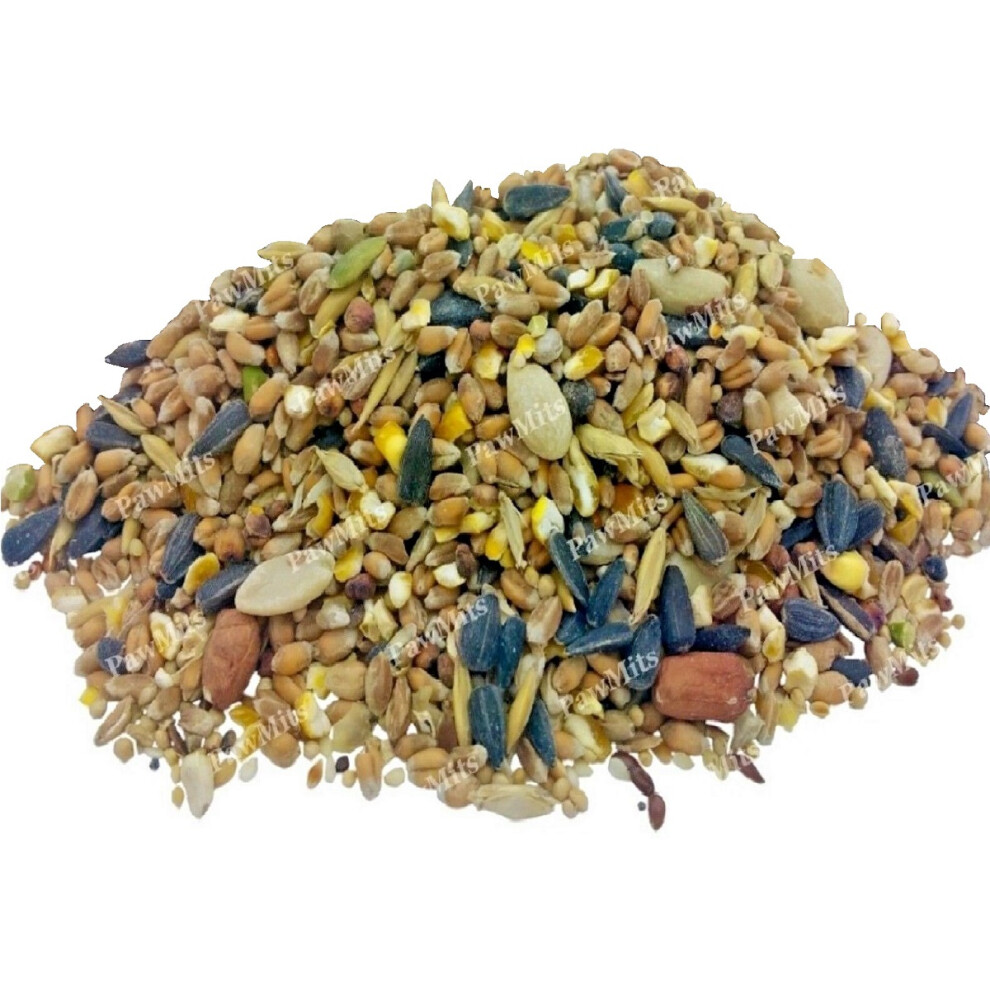 (350g) Special Wild Bird Seed