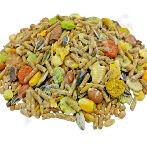 (10kg) Hamster Food