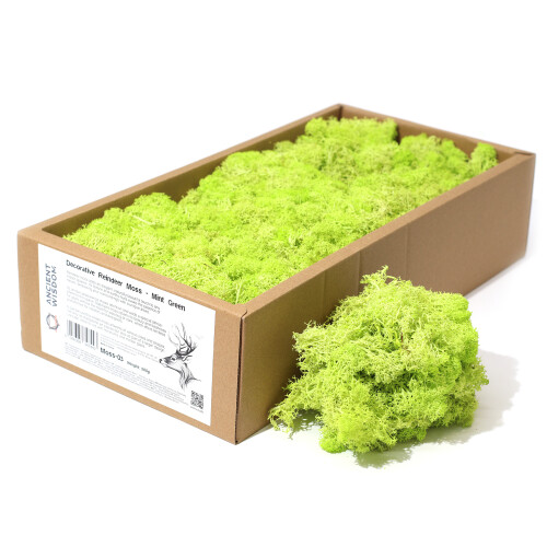 Decorative Reindeer Moss Mint Green approx. 500gm