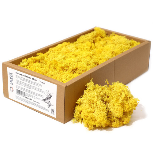 Decorative Reindeer Moss Yellow approx. 500gm