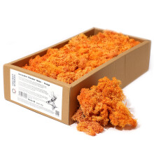 Decorative Reindeer Moss Orange approx. 500gm