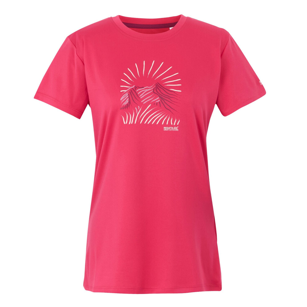 (22 UK, Pop) Regatta Womens/Ladies Fingal IX Mountain T-Shirt