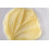 ESPA | Pomelo Lip Balm | 10g | Grapefruit & Mango Lip Butter 6