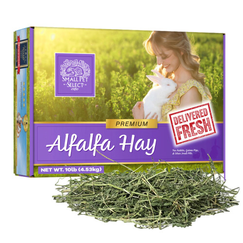 Alfalfa Hay - 10lb (4.54kg)