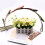Duck Teeth Bows Hair Clips Classic Hair Grip Concorde Clips Hairpins Chic Styling Claw Hair Barrettes (6Pcs) 9