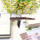 Duck Teeth Bows Hair Clips Classic Hair Grip Concorde Clips Hairpins Chic Styling Claw Hair Barrettes (6Pcs) 6