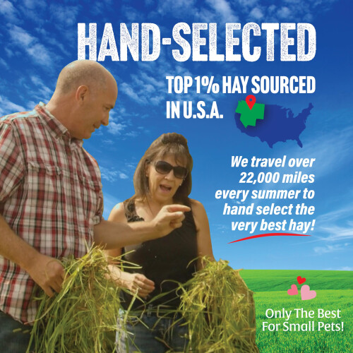 Alfalfa Hay - 10lb (4.54kg) 1