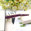Duck Teeth Bows Hair Clips Classic Hair Grip Concorde Clips Hairpins Chic Styling Claw Hair Barrettes (6Pcs) 8