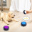 Interactive Pet Training Recordable Sound Button Toy 2