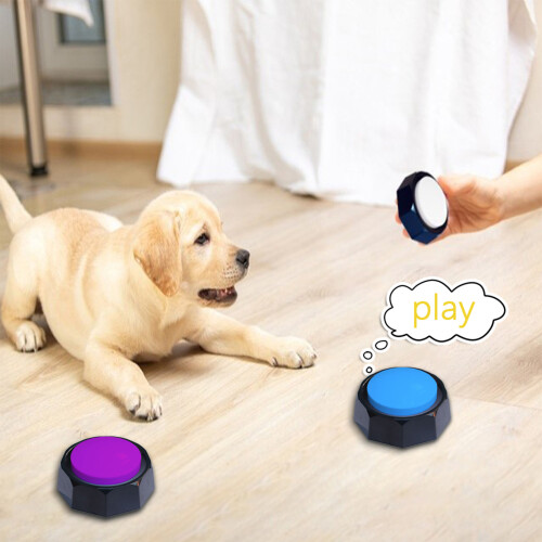 Interactive Pet Training Recordable Sound Button Toy 1