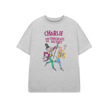 (3-4 Years) Roald Dahl Short Sleeved T-Shirt (Unisex Kids Grey)