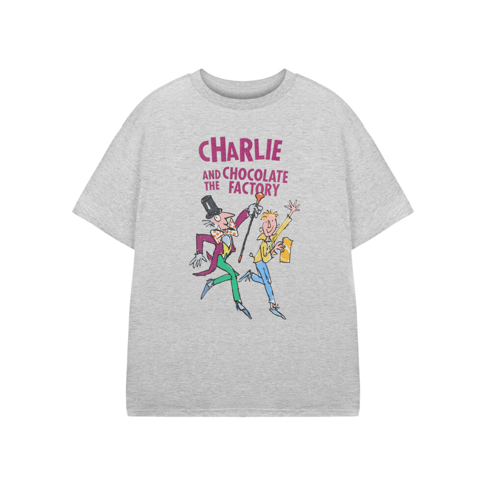 (13-14 Years) Roald Dahl Short Sleeved T-Shirt (Unisex Kids Grey)