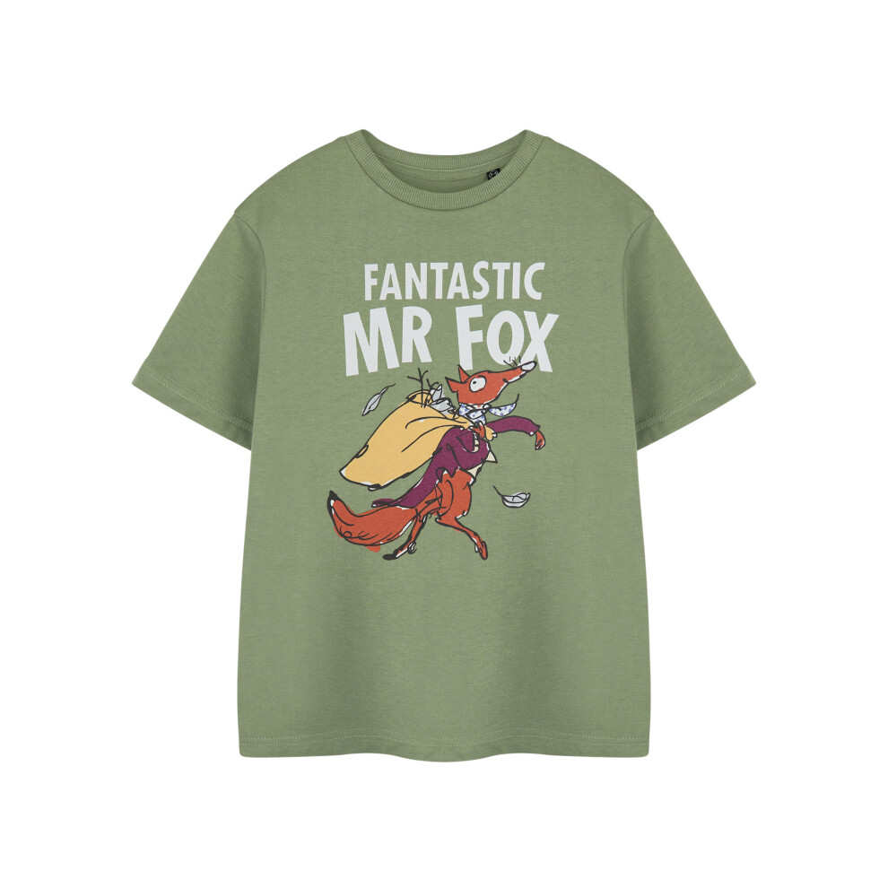 (5-6 Years) Roald Dahl Short Sleeved T-Shirt (Unisex Kids Green)