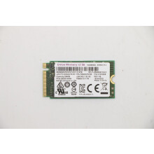 Lenovo UMIS AM620 256G PCIe 2242 SSD, 5SS0W76183