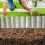 (7) Wooden Log Roll Garden Edging, Half Rounded Log rolls Garden Edging Borders 7