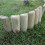 (7) Wooden Log Roll Garden Edging, Half Rounded Log rolls Garden Edging Borders 9