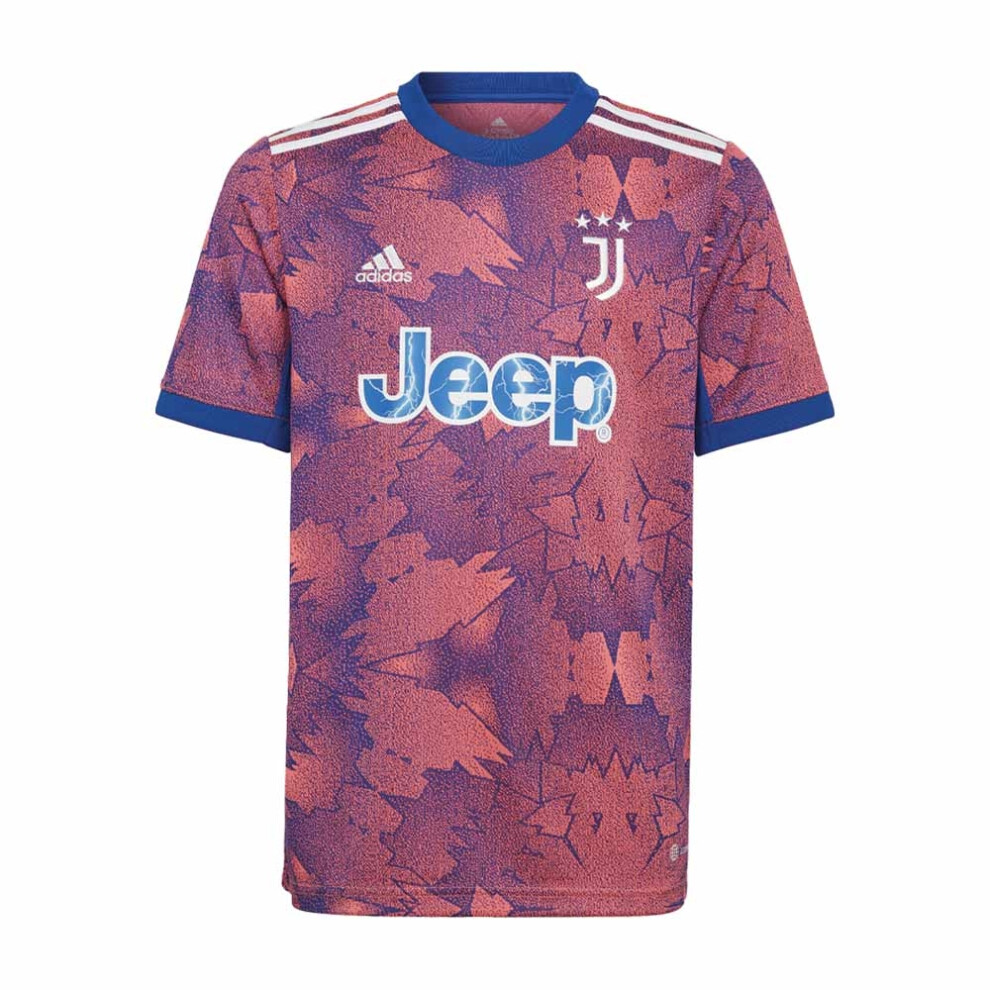 (XXL) 2022-2023 Juventus Third Shirt (Kids)