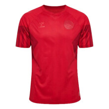 (M) 2022-2023 Denmark Home Jersey