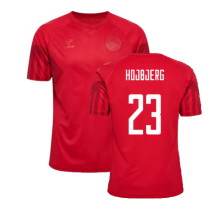 (M) 2022-2023 Denmark Home Jersey (Hojbjerg 23)