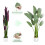 MCC (90CM) Artificial Bird of Paradise Tree with Planter&Moss 8